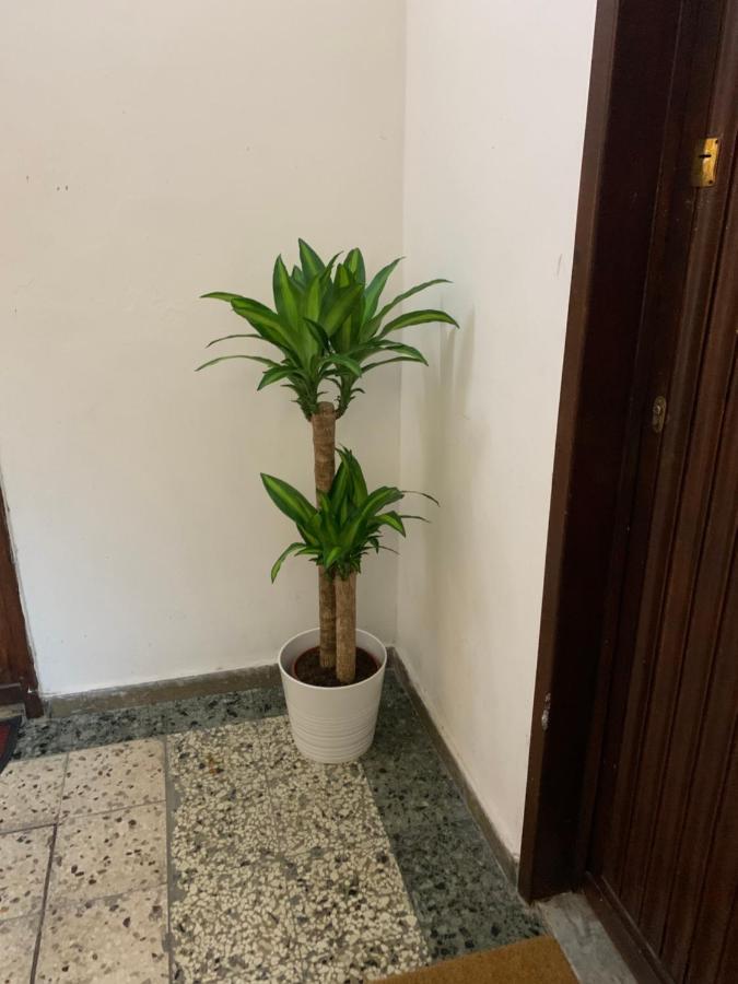 Pisa Train Station Guest House Zewnętrze zdjęcie